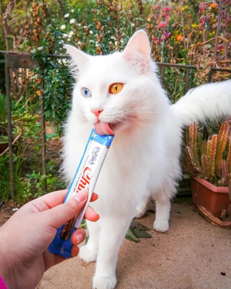 Inaba Churu Atún con Vieira | Snack Cremoso para Gatos 4 Tubos