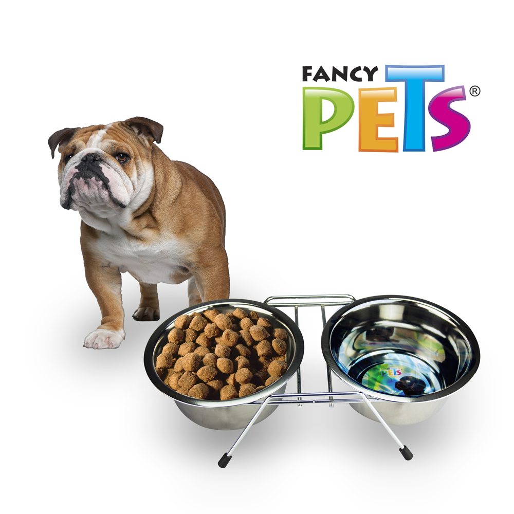 Comedero Doble para Perro con 2 Platos de Acero Inoxidable | 32 oz – Base Antiderrapante