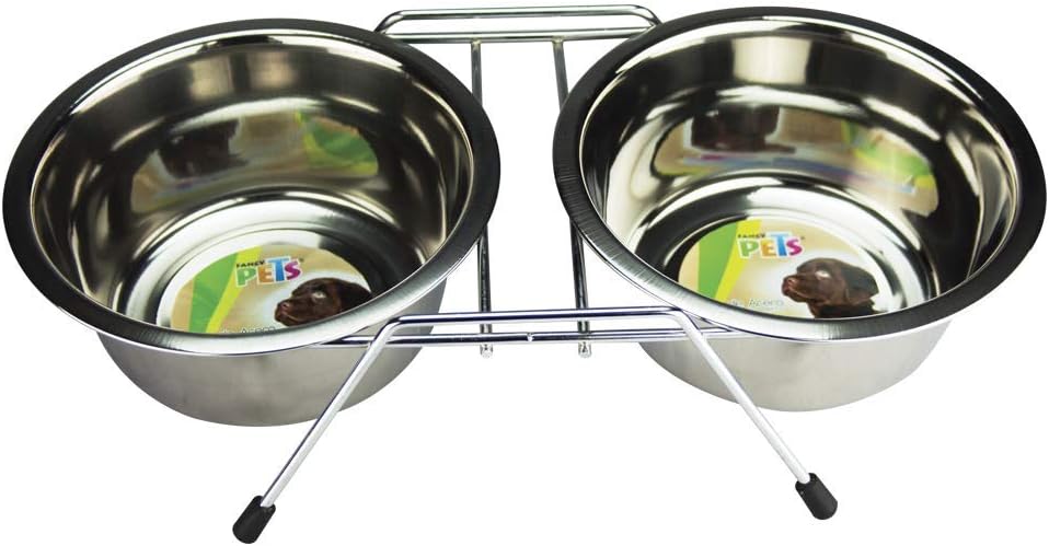 Comedero Doble para Perro con 2 Platos de Acero Inoxidable | 32 oz – Base Antiderrapante