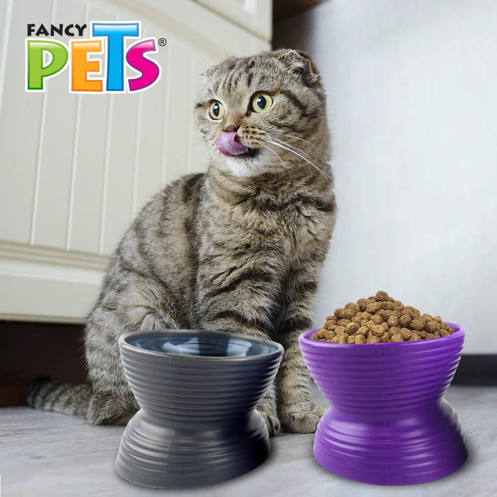 Comedero Elevado para Gato | Set de 2 Platos Ergonómicos Antiestrés