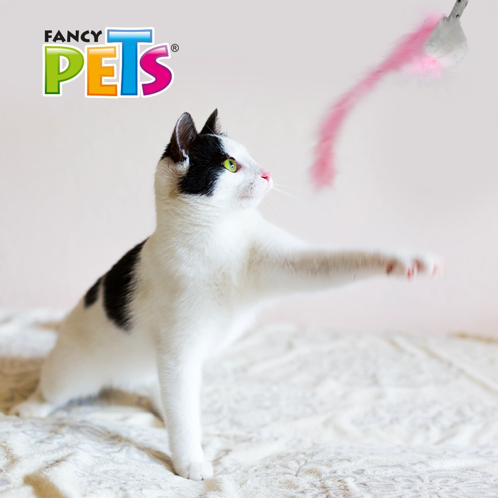 Juguete para Gato Lazo de Peluche | Antiestrés y Estimulante del Instinto Cazador