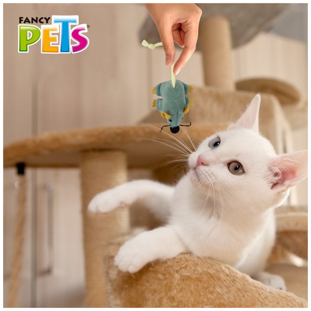 Juguete para Gato Mini Ratón Catch | Fancy Pets – Instinto Cazador y Vínculo Humano-Felino