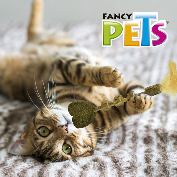 Varita para Gato con Catnip y Pluma | Fancy Pets – Corazón Natural Antiestrés