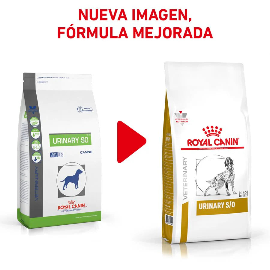 Urinary SO para Perros