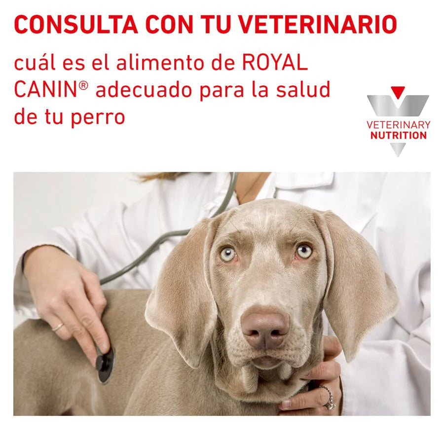 Urinary SO para Perros