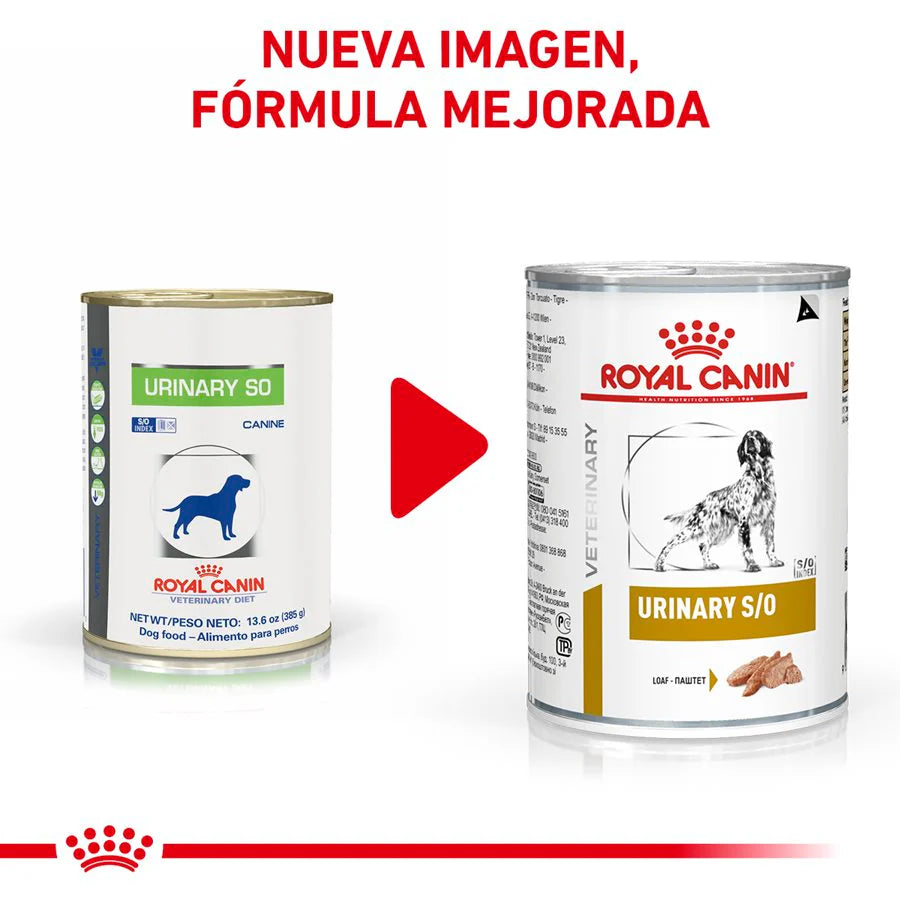 Urinary SO Lata para Perros