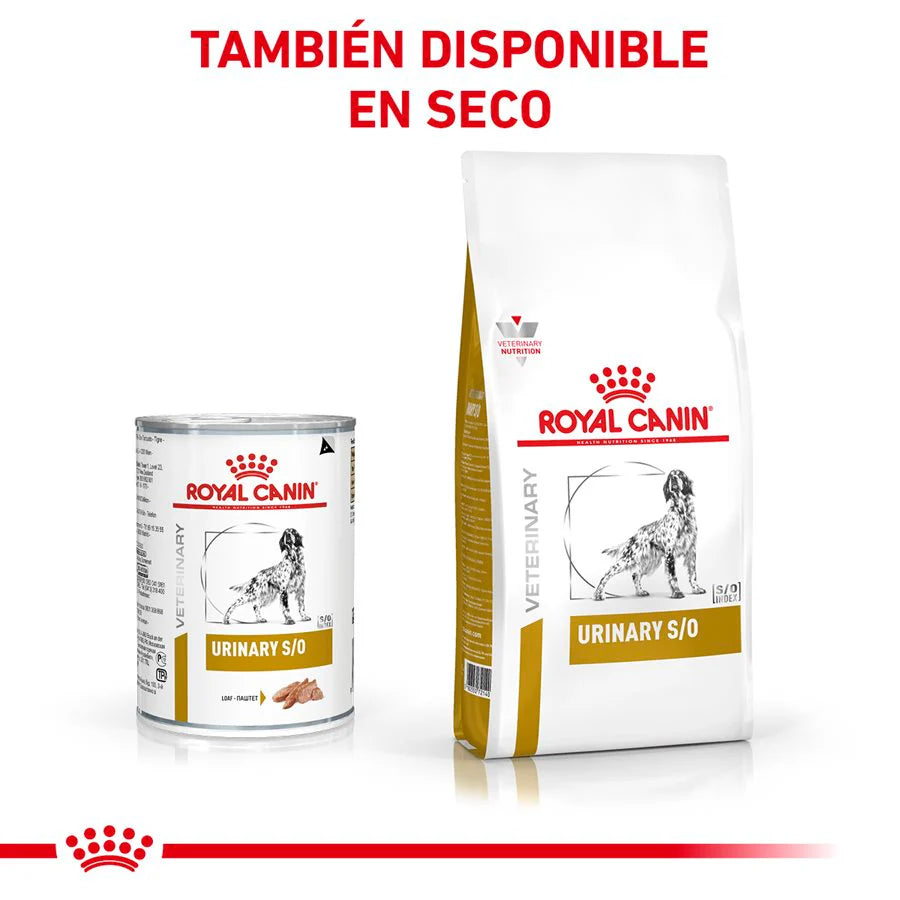 Urinary SO Lata para Perros