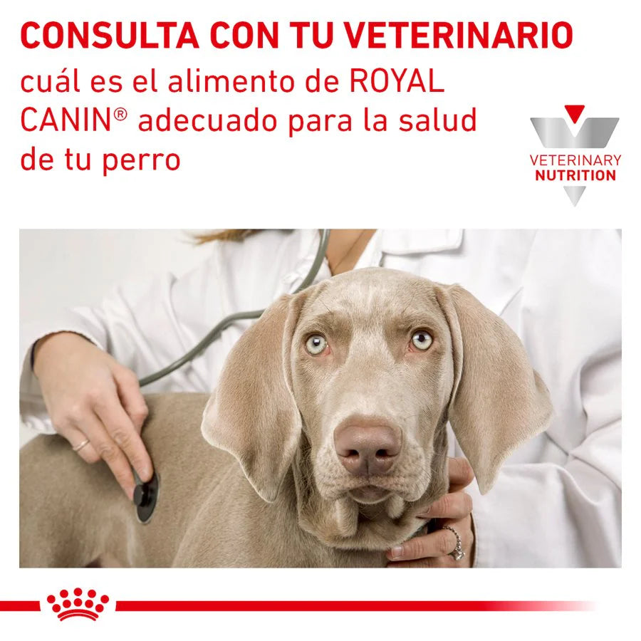 Urinary SO Lata para Perros