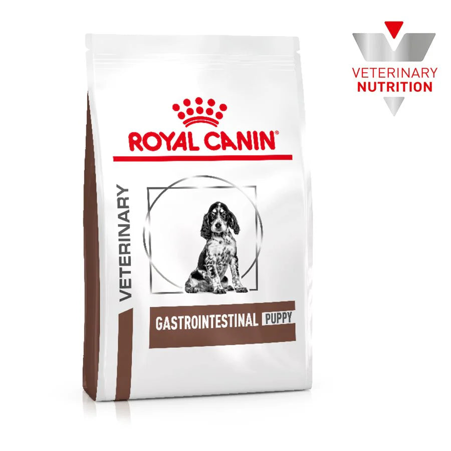 Gastro Intestinal Puppy