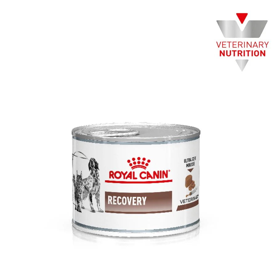 Recovery Lata para Perros y Gatos