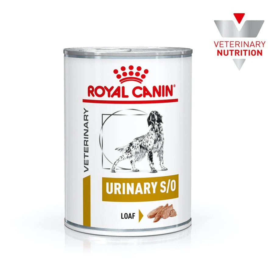 Urinary SO Lata para Perros
