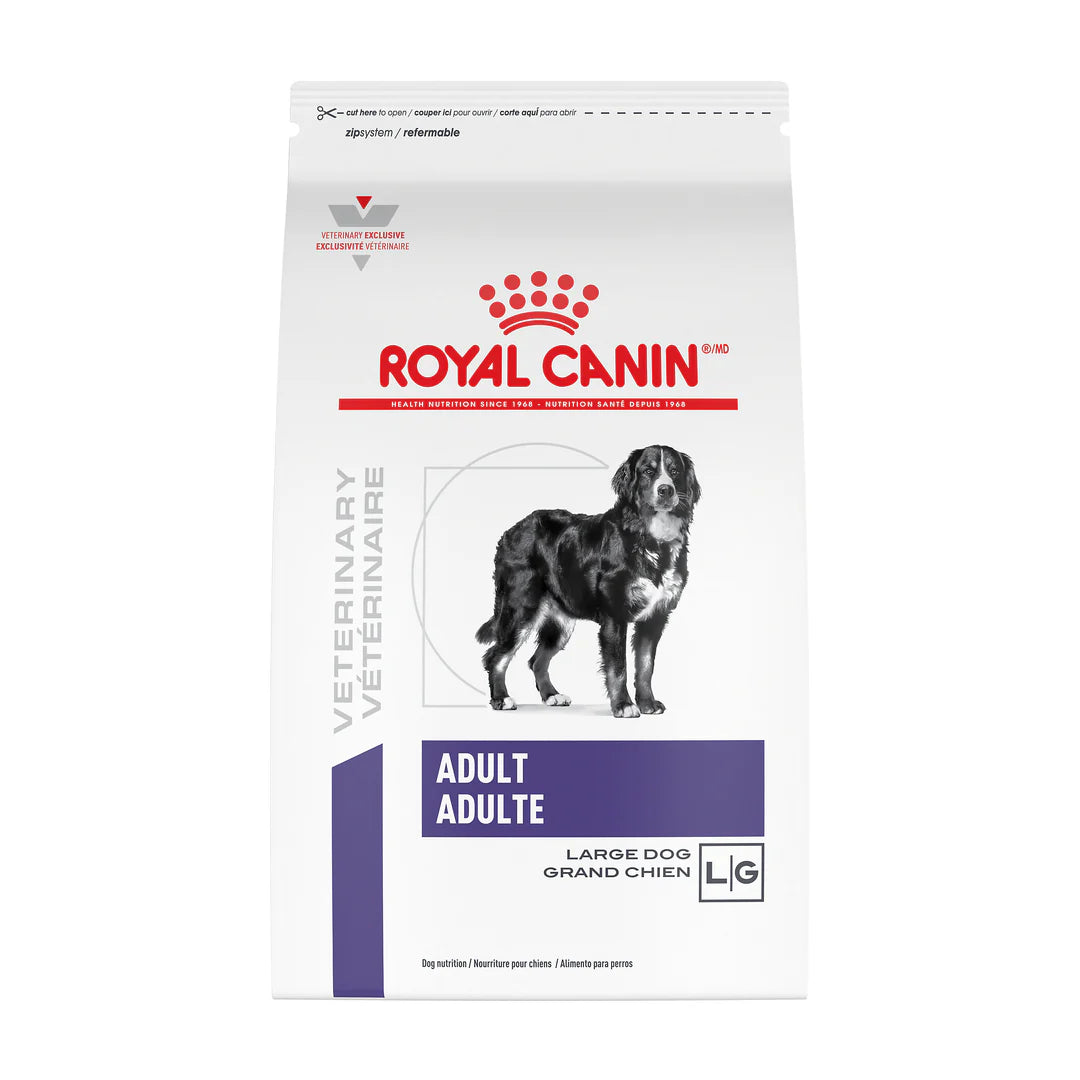 Royal Canin Adult Large Dog para Perros Grandes