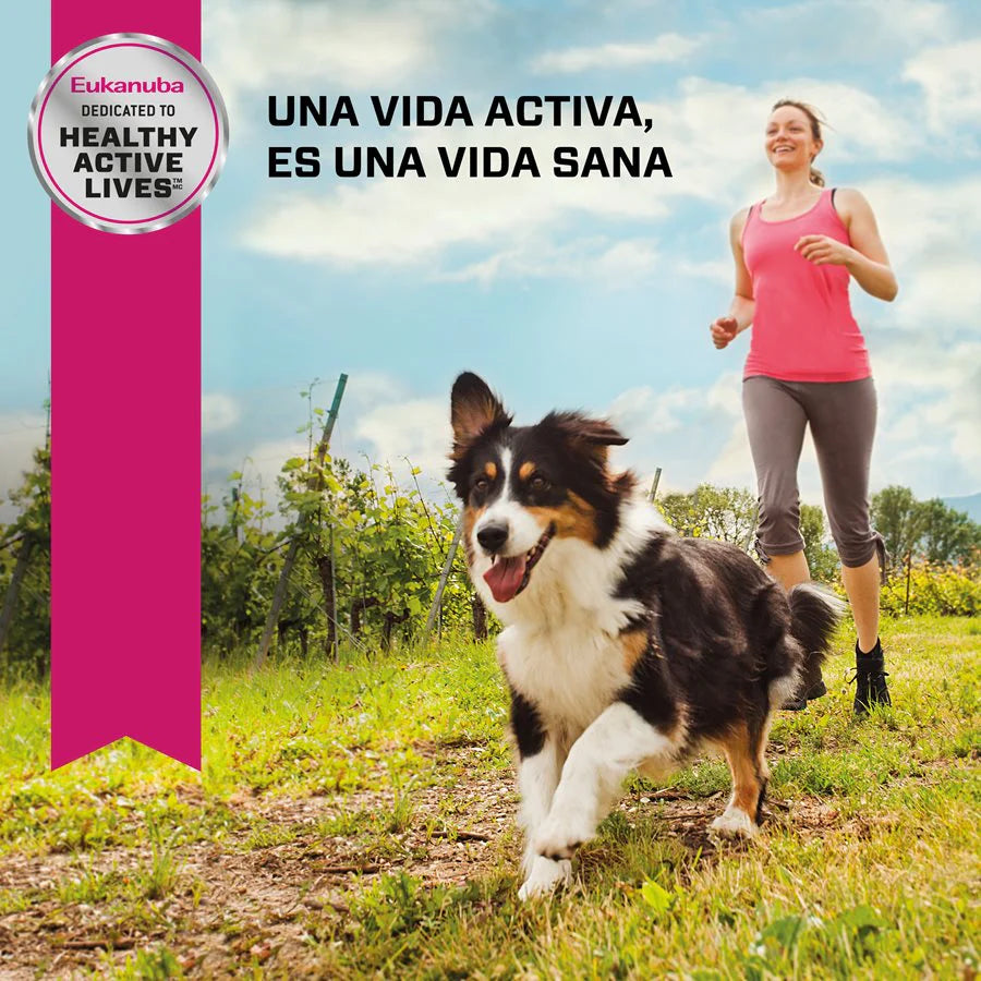 Eukanuba Adult Beef & Veggies Lata para Perros