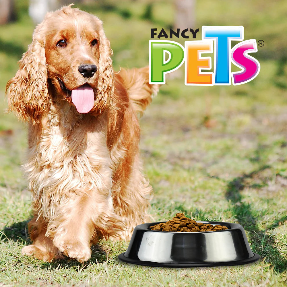 Plato de Acero Inoxidable para Perros | Antiderrapante