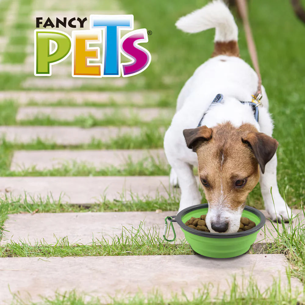 Plato Plegable para Mascotas | Portátil de 350 ml – Ideal para Viajes y Paseos