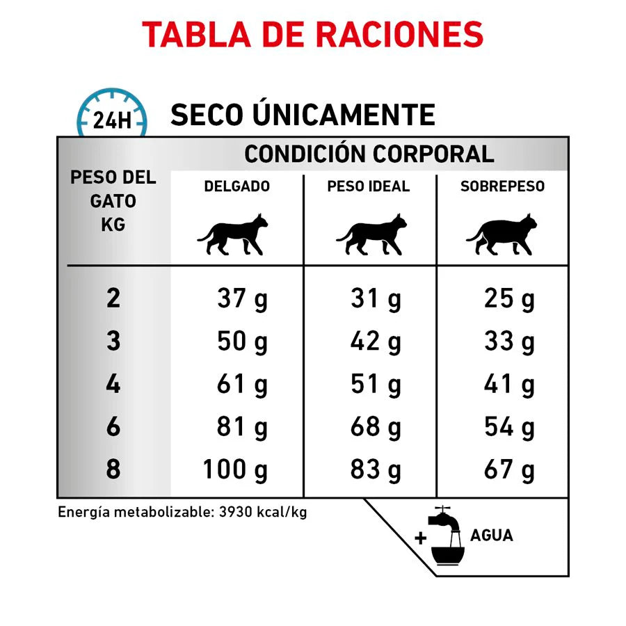 Royal Canin Hydrolyzed Protein HP para Gatos | Dieta Hipoalergénica