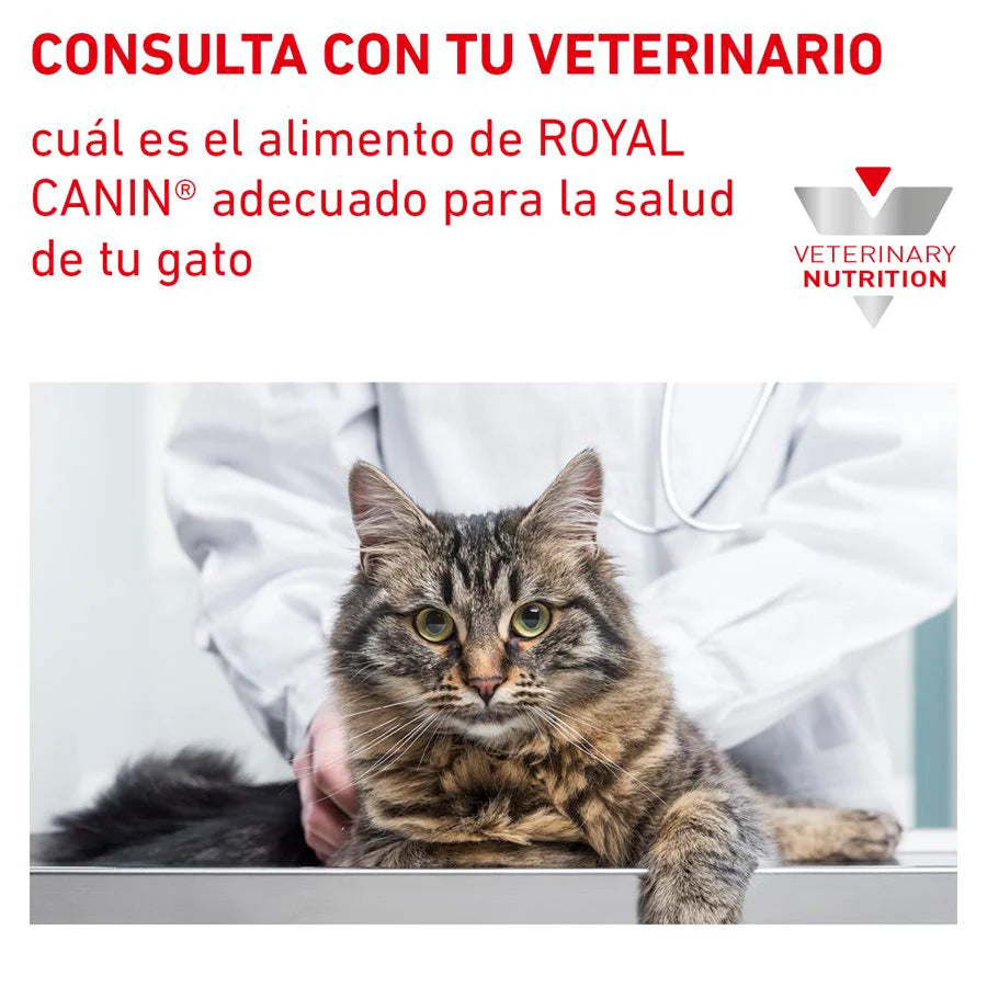 Urinary SO para Gatos
