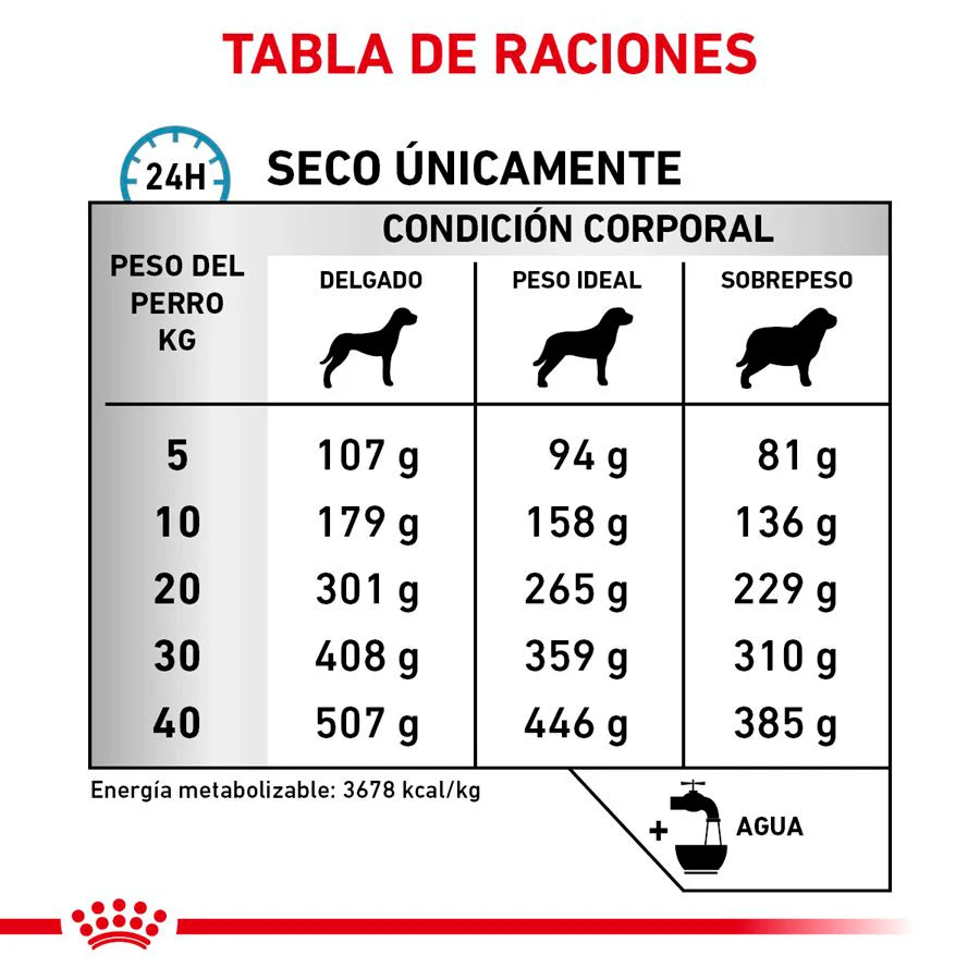 Anallergenic para Perros