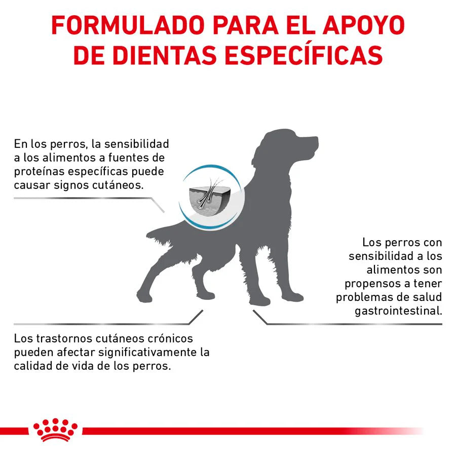 Anallergenic para Perros