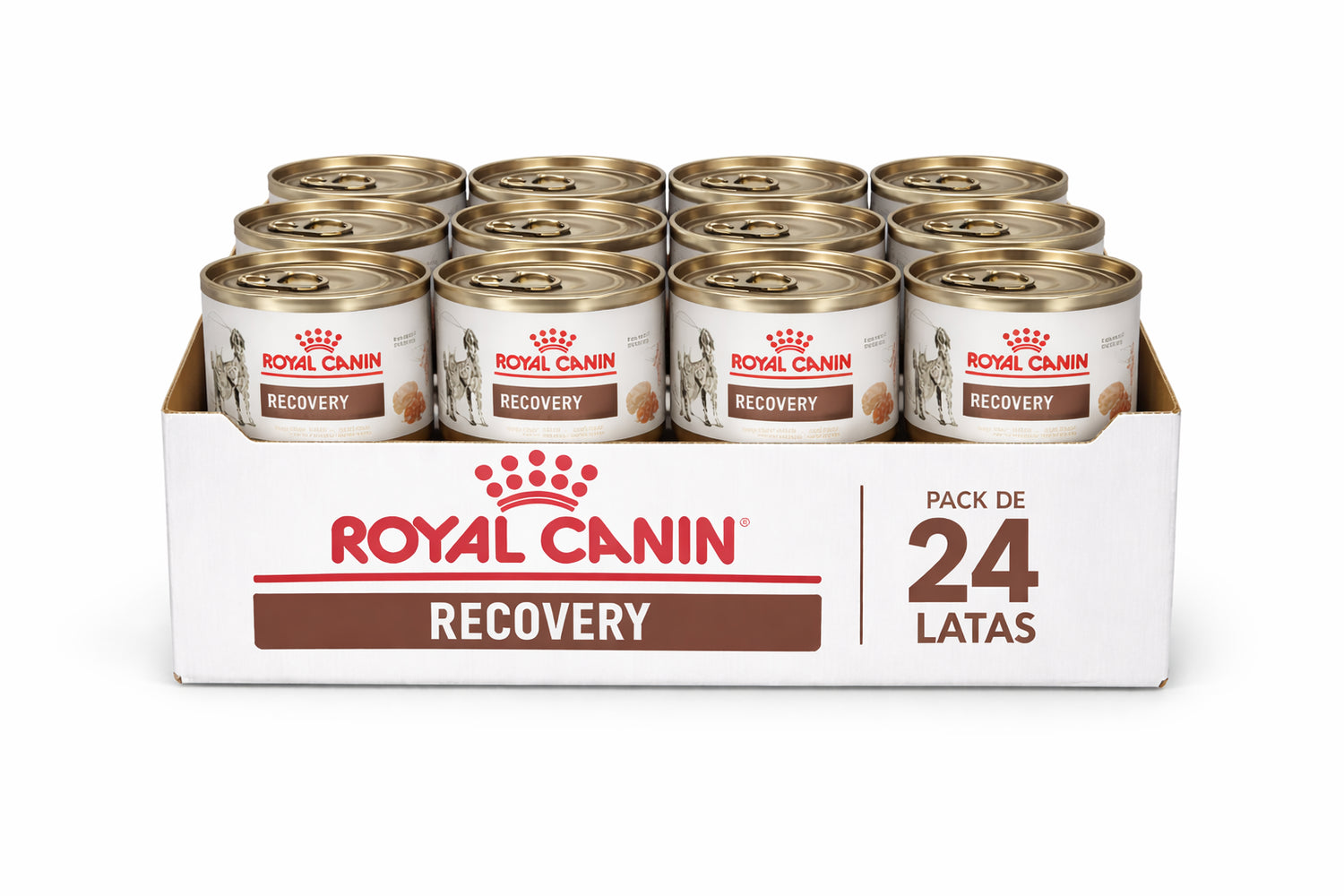 Recovery Pack 24 latas – Nutrición continua para su recuperación