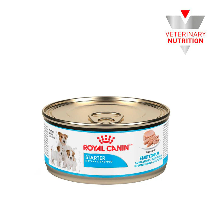 Starter Mousse Lata para Perros